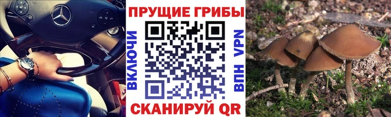гидра онион  Новокузнецк  Галлюциногенные грибы прущие грибы 
