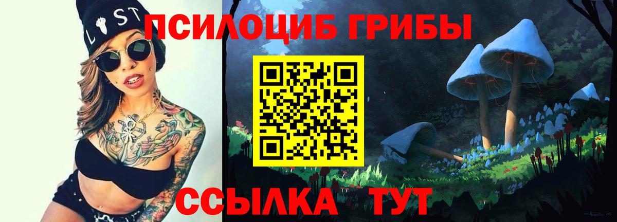 Псилоцибиновые грибы мухоморы Новокузнецк